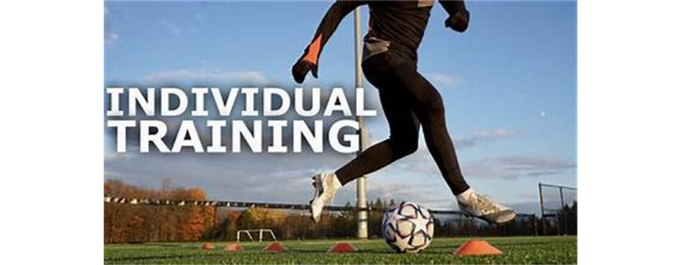 Individual Training